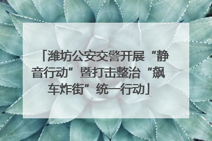 潍坊公安交警开展“静音行动”暨打击整治“飙车炸街”统一行动
